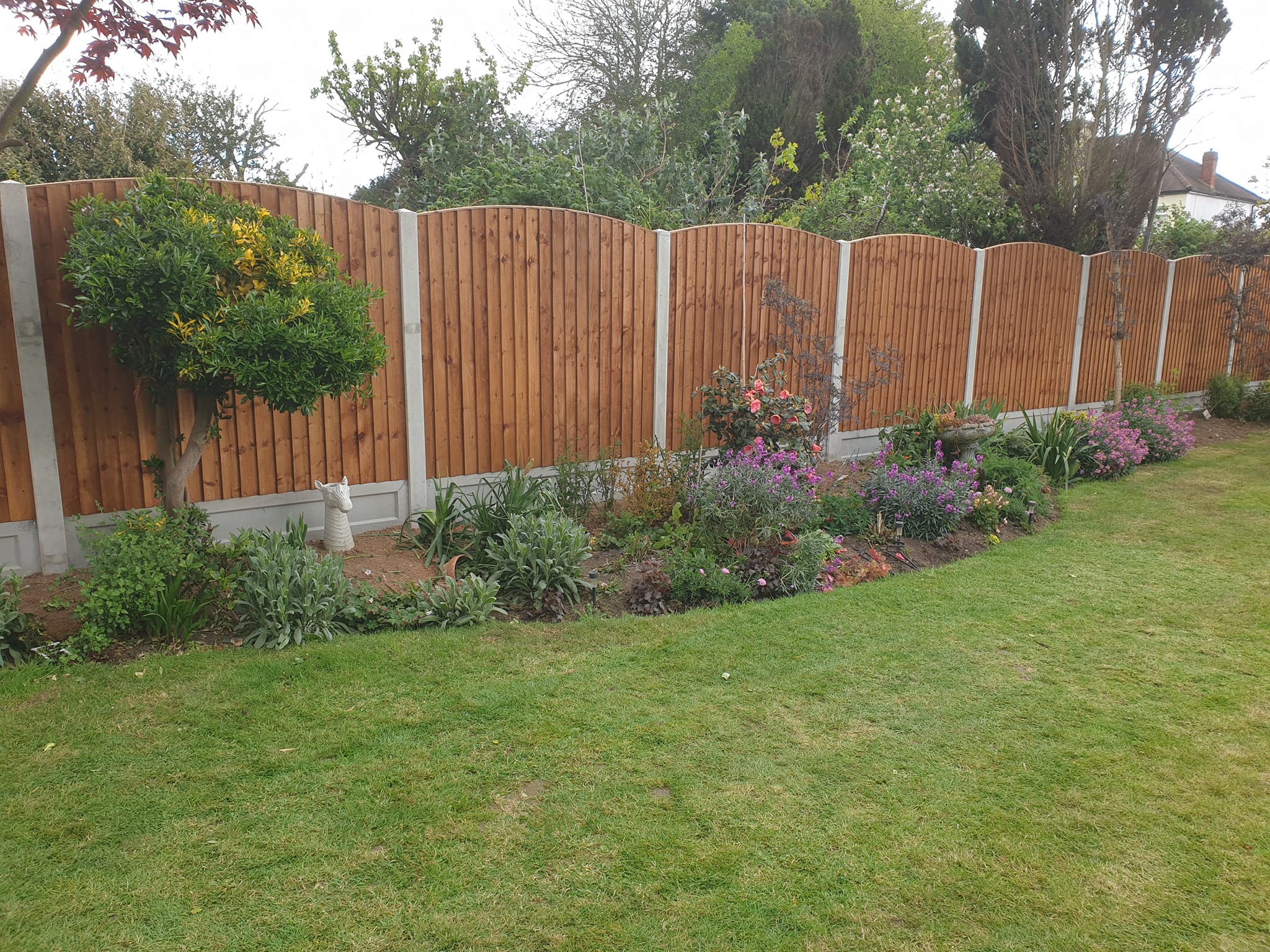 Fencing-project-image-18